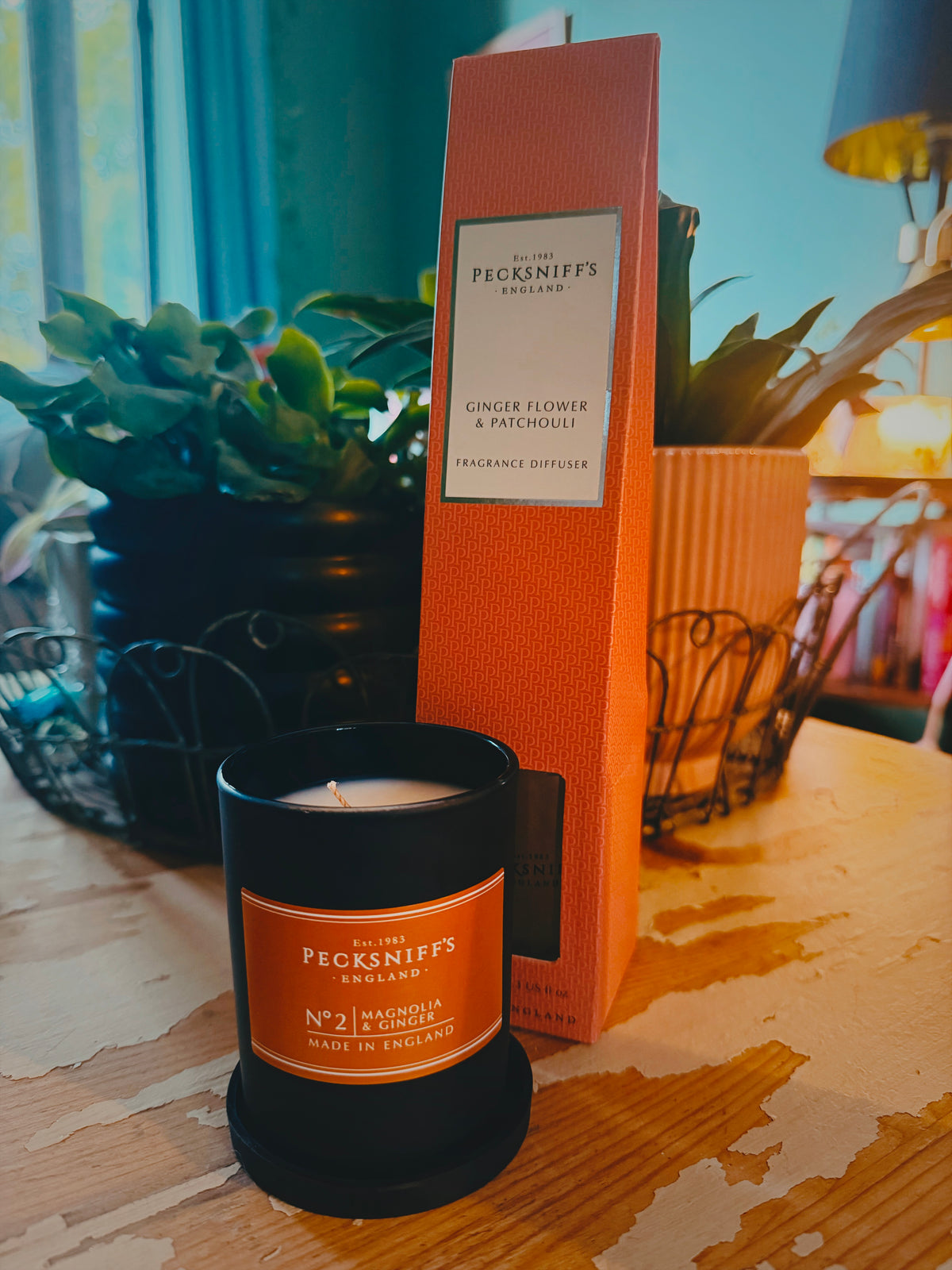 Pecksniff’s Ginger range: candle and diffuser