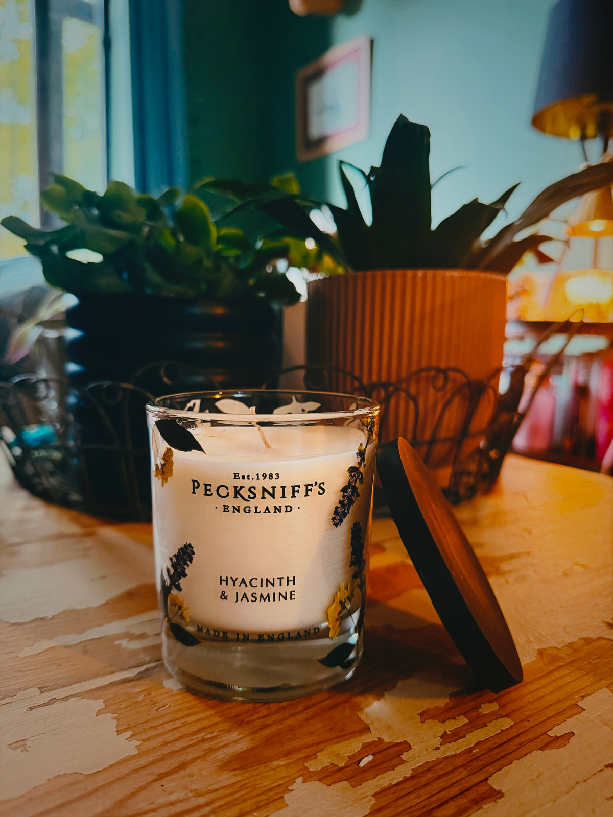Pecksniff’s 1 wick 180g candle: Hyacinth and Jasmine